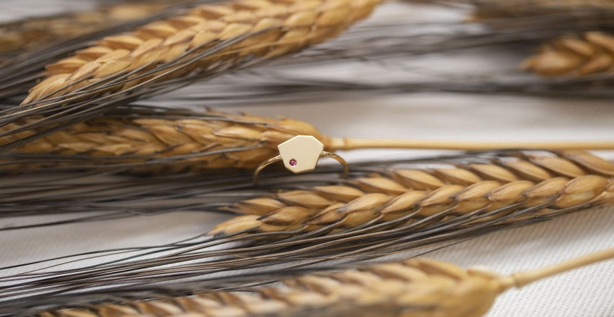 L’Heptagone sous tous ses angles